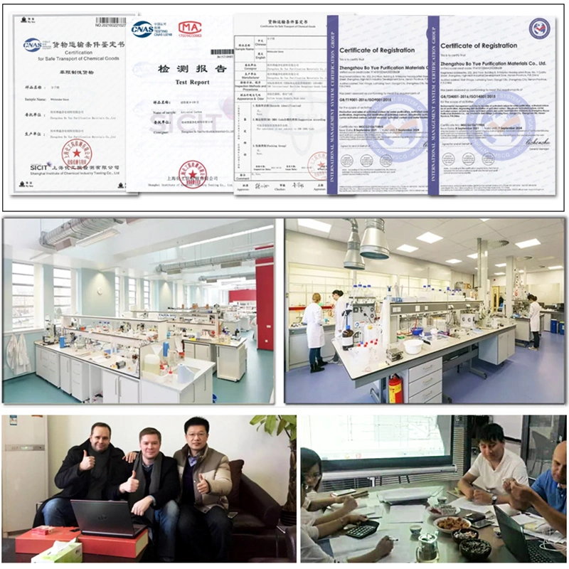 Advanced Carbon Molecular Sieve for Gas Purification